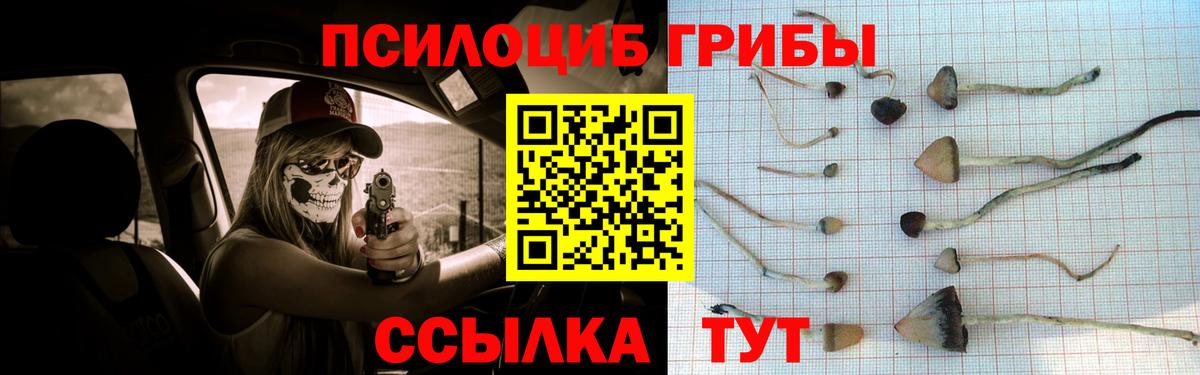 Псилоцибиновые грибы ЛСД  Вход с VPN  Донецк  Галлюциногенные грибы Magic Shrooms 