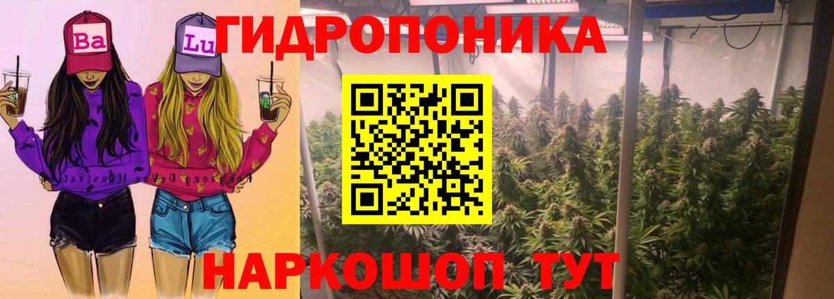Конопля Amnesia  Конопля конопля  Вход с VPN  Донецк 